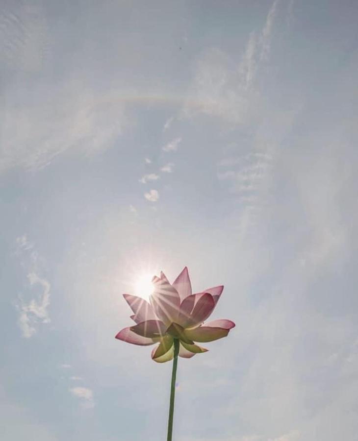 Khach San Flower Sky ニャチャン エクステリア 写真